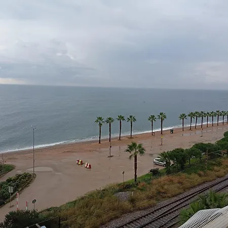 In Front Of The Pineda de Mar
